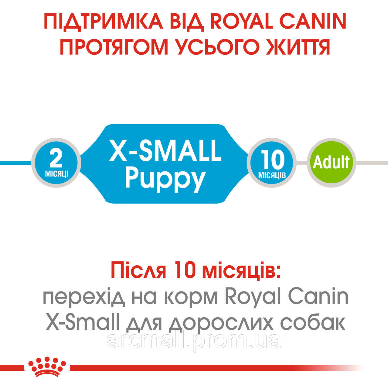 Сухой корм для собак Royal Canin X-Small Puppy мелких пород весом до 4 кг до 10 месяцев 500 г AM, код: 7581517 - фото 3 - id-p1999488084