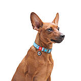 Нашийник для собак з відновленої бавовни WAUDOG Re-cotton з Світловідбивний пластиковий ф SC, код: 7564865, фото 2