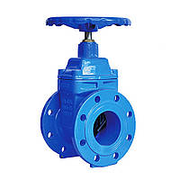 Засувка Ру16 чавунна із обгумованим клином Ду 250, BOHAMET