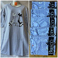 Ночная женская рубашка норма байка Кошечки размер 48-56, цвет миксом