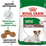 Royal Canin Mini Ageing 12+ сухий корм для собак дрібних порід від 12 років 0,8кг, фото 3