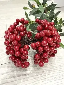 Ягоди для декору