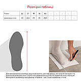 Сороконіжки підліткові  Restime DWO23215-1, фото 2