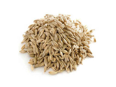 Овес посівний (в мішку) насіння 25кг ТМ СЕМЕНА УКРАИНЫ FG