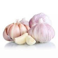 Чеснок озимый Дюшес 0.5 кг 500 г севок голландия