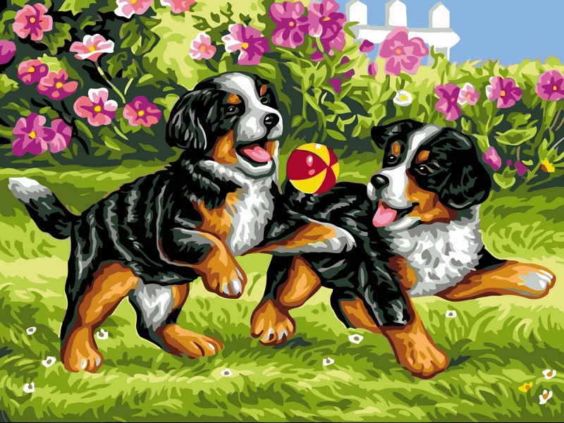 Картини по номерам 30х40 см Babylon Цуценята на прогулянці (RVK-107), фото 1