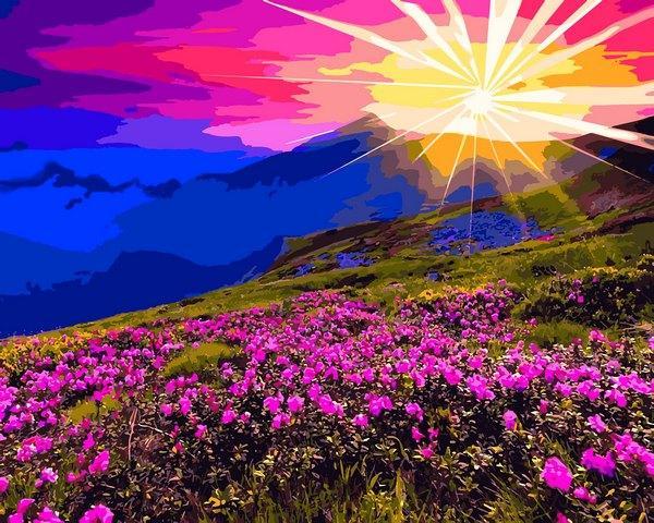 Картини по номерам 40х50 см Babylon Гірські квіти (RVP-1165), фото 1