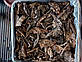 Колекційний чай Пуер Фулу Тунцин 80-ті роки, Витриманий Стиглий чай у Залізній Банкі 200 г, фото 6