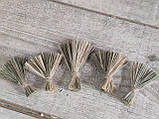 Набір віничків з трав'яної щітки - натуральний декор, 5 шт. - 5-8 см, фото 2