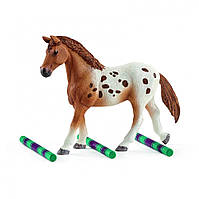 Набір для тренування коней Schleich Horse Club 42433