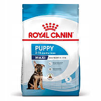 Royal Canin суміш сухих смаків для активних собак 15 кг MAXI PUPPY JUNIOR 15 КГ