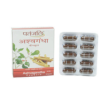Препарат для зниження тривоги, депресії, відновлення після операцій ASHWAGANDHA 20 капс. PATANJALI АШВАГАНДА