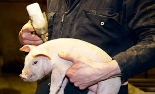 Шприци та голки