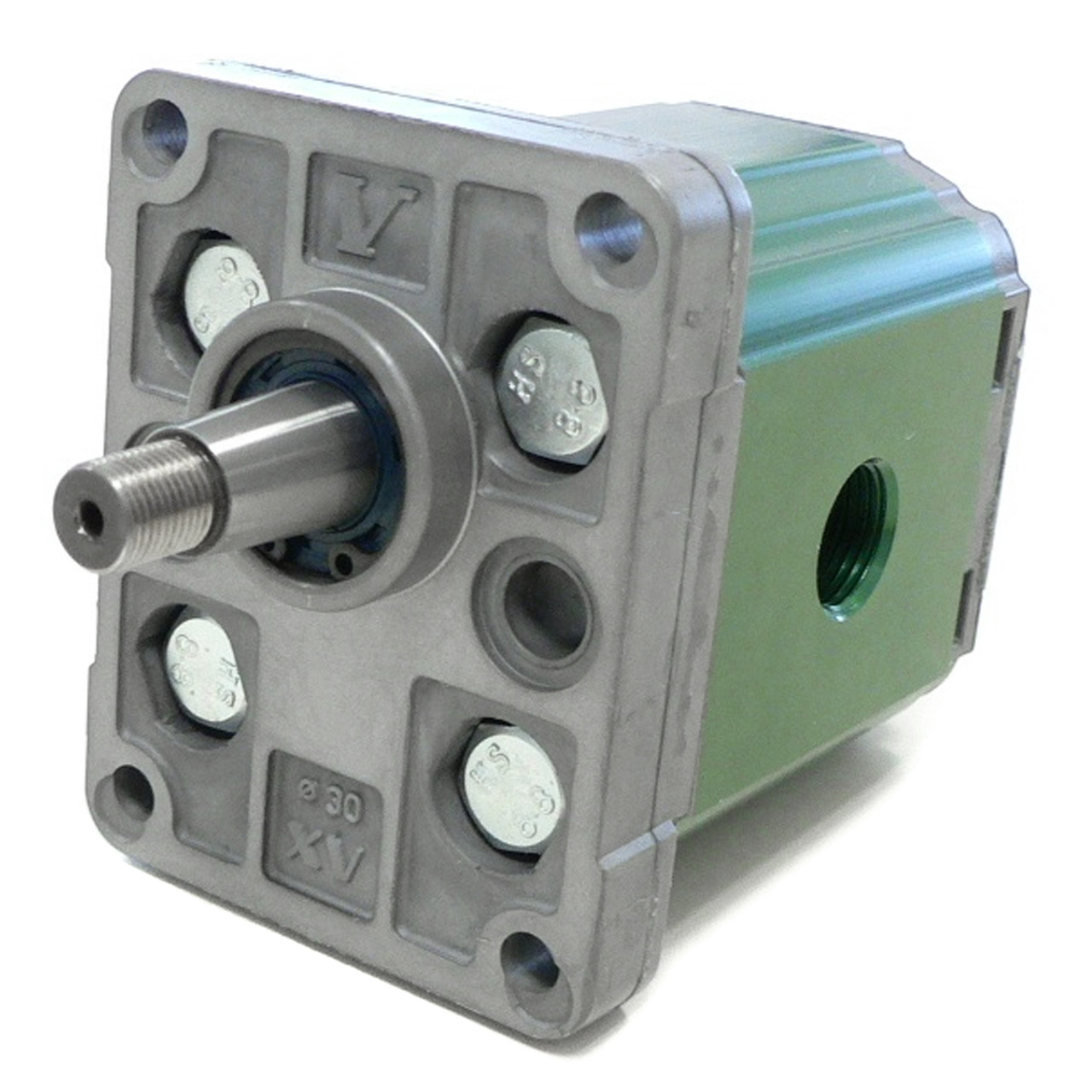 Насос шестеренний X1P2502FBBA (XV1P/3.8) VIVOIL, фото 1