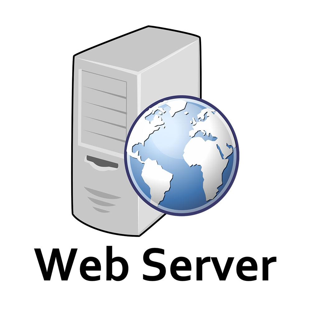 Веб сервер Parking Pay WS-01, фото 1