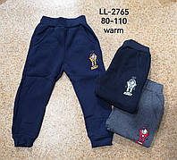 Спортивні штани утеплені на хлопчика гуртом, Sincere, 98-128 рр. арт. LL-2765
