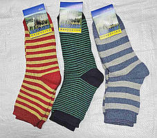 Жіночі шкарпетки "Житомир" махрові