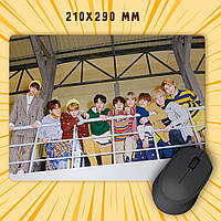 Килимок для миші 210 х 290 Stray Kids 009
