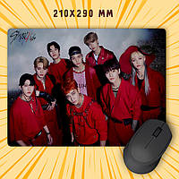 Килимок для миші 210 х 290 Stray Kids 021