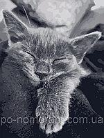 РукИТвор Картина по номерам (ACR-11612-AC) Кошачья благодарность, 40 х 50 см, ArtCraft