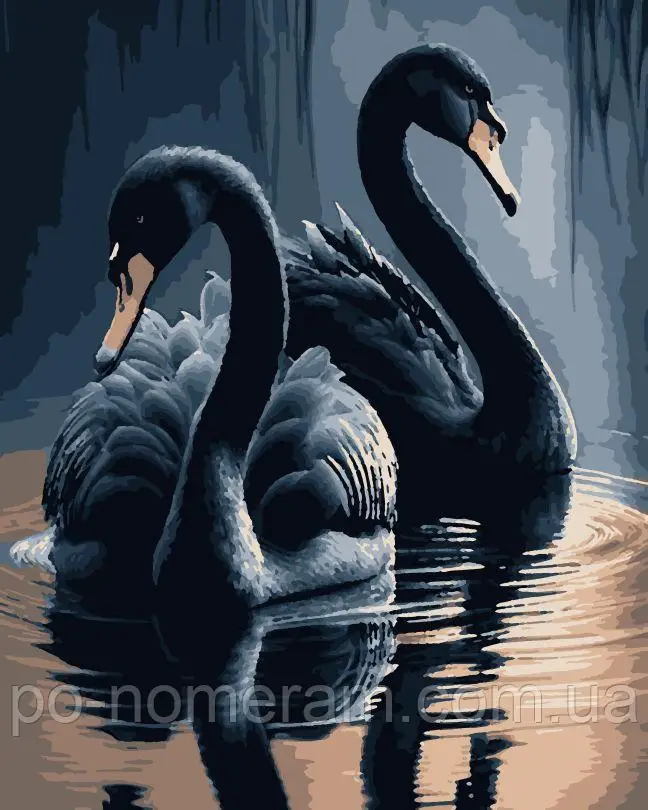 Рукітвор Картина за номерами (PNX0745) Чорні лебеді, 50 х 60 см, Artissimo