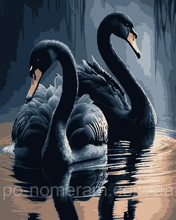 Рукітвор Картина за номерами (PNX0745) Чорні лебеді, 50 х 60 см, Artissimo, фото 1