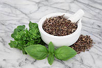 Holy Basil Extract: базилік священний — потужний адаптоген, що рятує нас від стресу