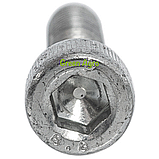 Болт кріплення масляного бачка насоса обприскувача Tolveri PU-2/120, фото 2