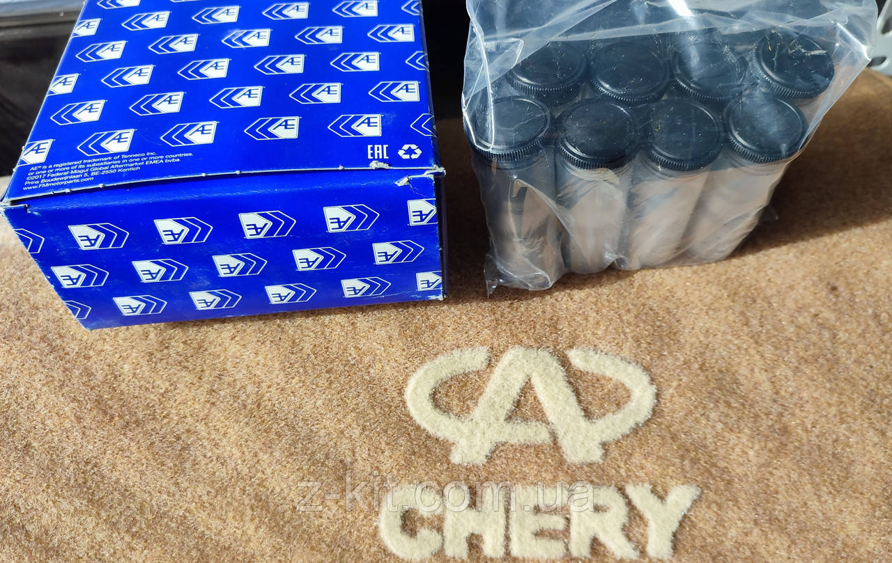 Гідрокомпенсатор Chery Amulet 1.6L, AE (Німеччина), 480-1007030BB