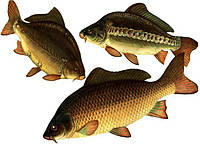 Премікс ШенМікс Фіш 2% промислова риба (мішок 25кг)
