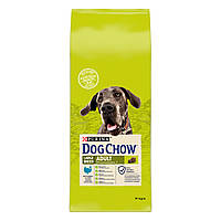 Сухой корм для взрослых собак крупных пород DOG CHOW Large Breed Adult 2+ с индейкой 14 кг (7613034487926)