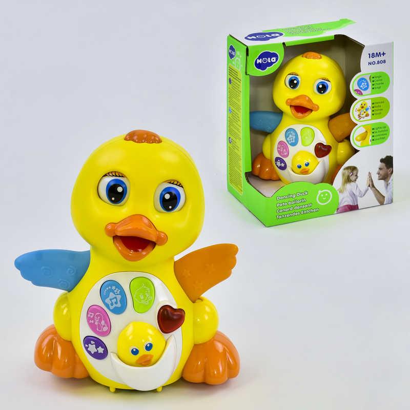 Музичне каченя Hola підсвічування, їздить, 15*12*20 см, в кор. /24-2/