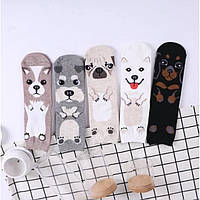 Носки хлопковые с собачками базовые, носки с собаками размер 36-39, 1 пара