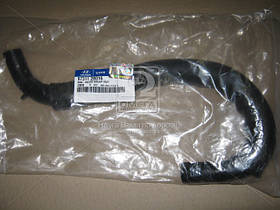 Шланг системи охолодження Hyundai Santa Fe 06- (вир-во Mobis) 973112B010 UA59