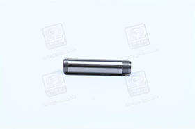 Направляюча клапана IN/EX OPEL X14XE/X16XEL/X18XE/X20XE/Y26SE/Y16XE 6mm (вир-во Metelli) 01-2482 UA59
