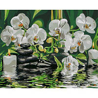 Картина по номерам "Спокойствие возле орхидей"