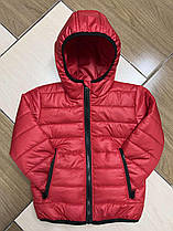 Куртка дитяча демісезонна, унісекс р. 92-116, червоний