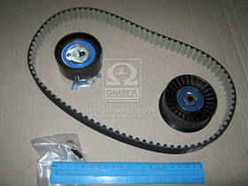 Ремкомплект ГРМ Opel Movano, Renault Master 77 01 472 329 (Вир-во SKF) VKMA 06503 UA59