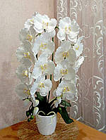 Штучна орхідея в вазоні "Королівська"