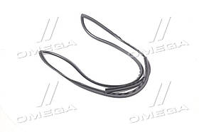 Ущильнювач скла лобового Hyundai Elantra 06- (вир-во Mobis) 861312H000 UA59