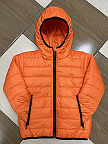 Куртка демісезонна, унісекс р.122-146, помаранчевий