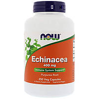 Эхинацея Echinacea Now Foods 400 мг 250 вегетарианских капсул