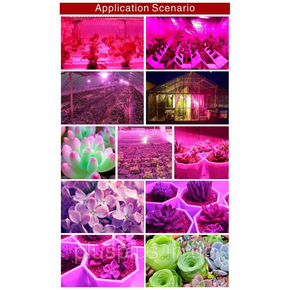 Фито-лампа, LED светодиодная полного спектра, для выращивания растений: 18 Вт/28 Вт. E27 / 220 В 28 - фото 2 - id-p2001241253