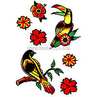 Тату переводка Цветы, попугай и ласточка в стиле олдскул