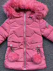 Пальто зимове на дівчаток, Setty Koop, у наявності 2 роки арт. AP873, фото 3