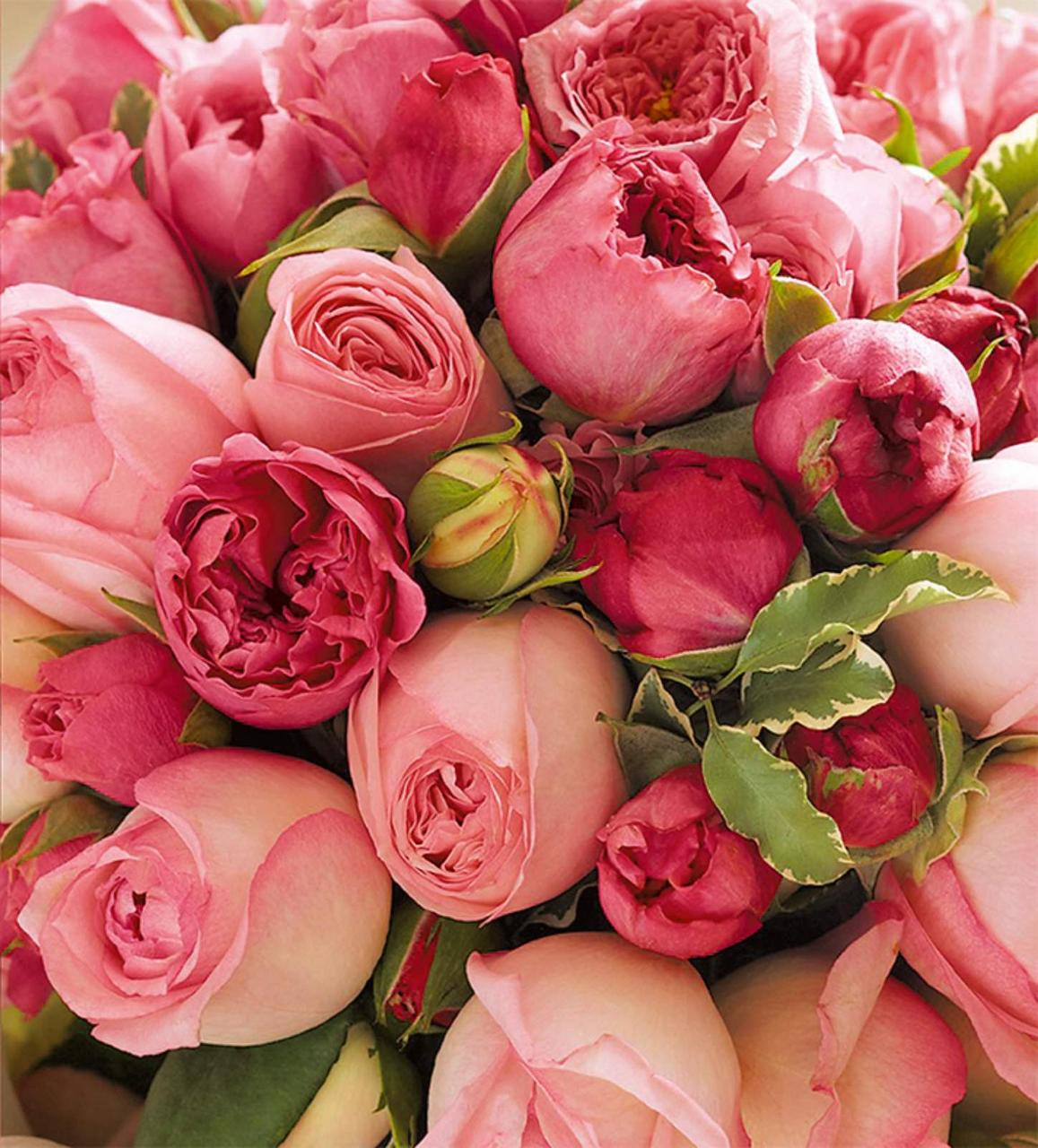 Подарункові пакети Півонії  розмір 16х16 см