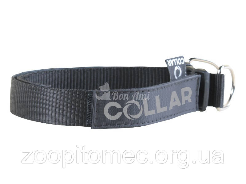 Нашийник нейлоновий Collar шир 20 мм, дл 25-40 см, фото 1