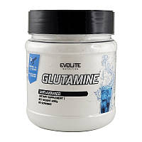 Evolite Nutrition Glutamine (400 g, unflavoured)