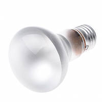 Лампа накаливания рефлекторная R Brille Стекло 60W Белый 126005 BF, код: 7264022