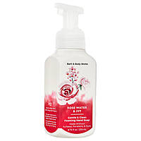 Мыло-пенка для рук Bath & Body Works Rose Water & Ivy Foaming Soap